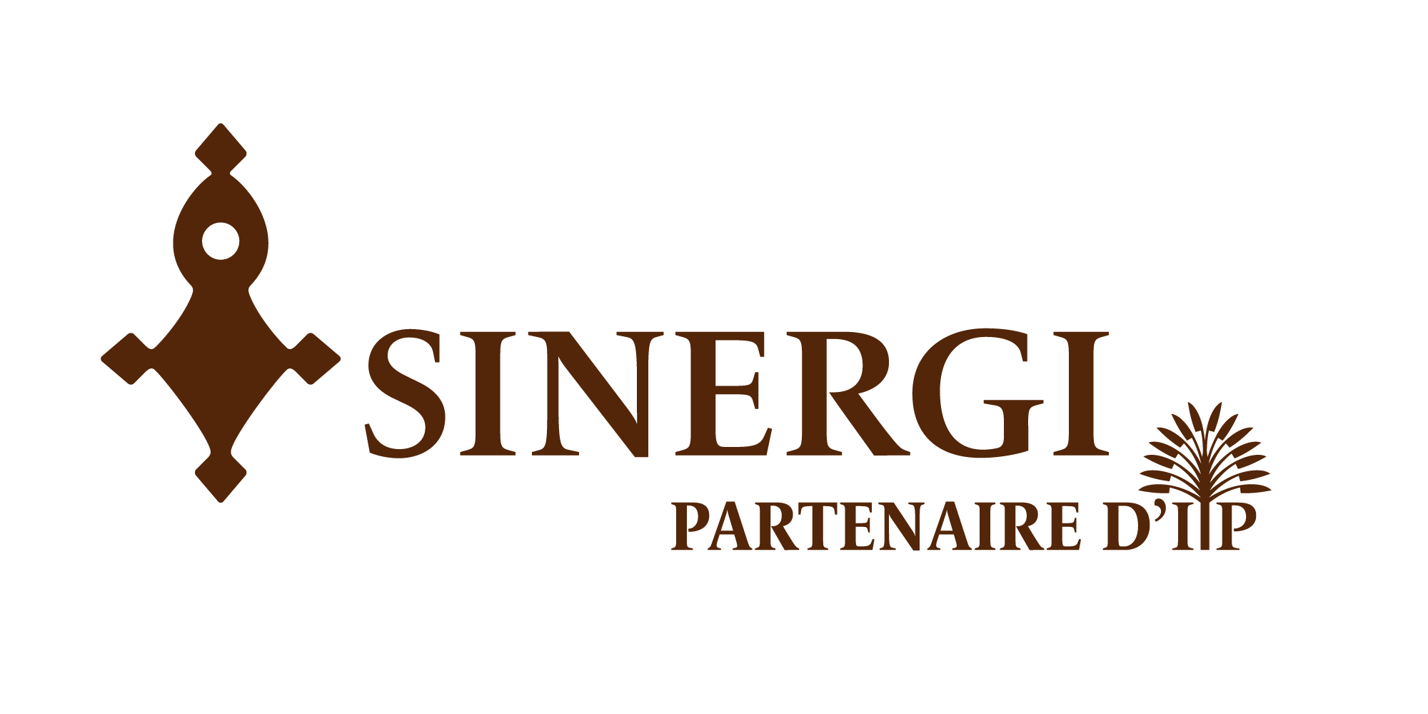SINERGI_NIGER_RVB (1)